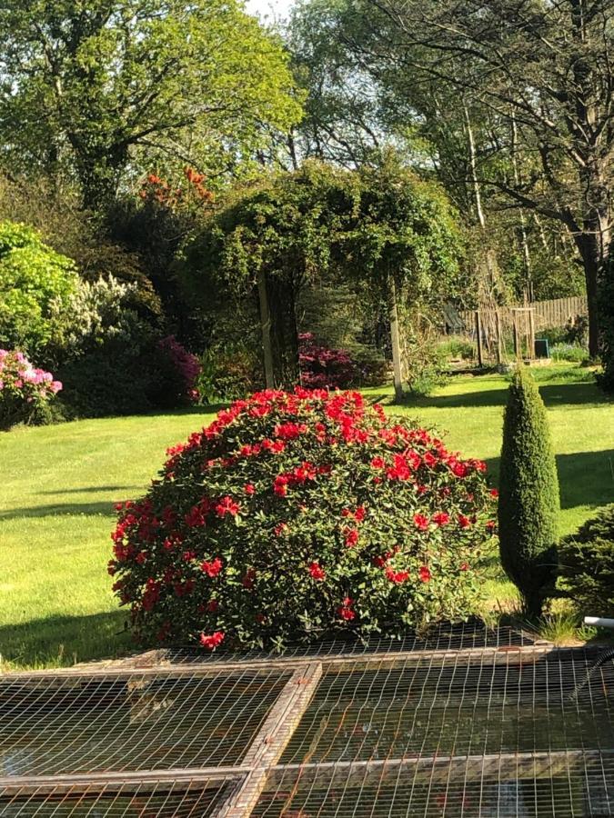 Llyswen Large Bedroom In Top Part Of Bungalow With Garden View And Balcony Sleeps Three Aberystwyth Exterior photo